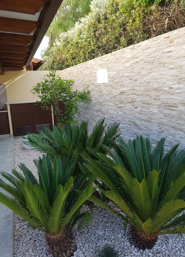 B&B Aloe Comfort Rooms San Vito Lo Capo Buitenkant foto