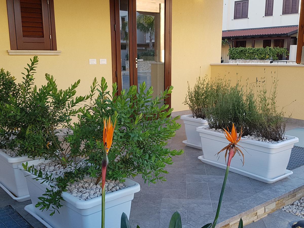 B&B Aloe Comfort Rooms San Vito Lo Capo Buitenkant foto