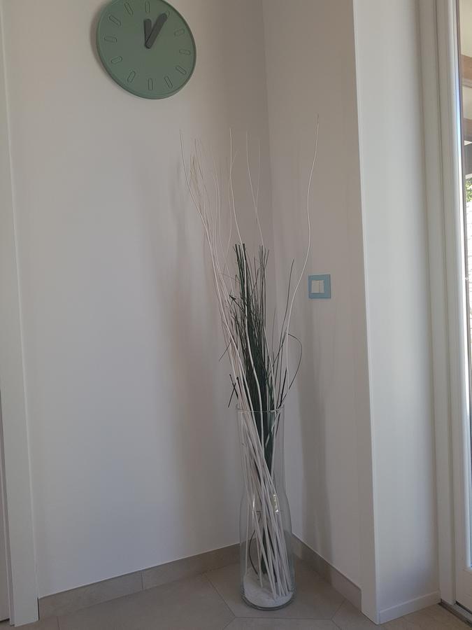 B&B Aloe Comfort Rooms San Vito Lo Capo Buitenkant foto